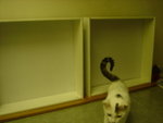 DSC00165