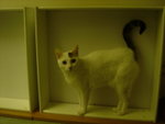 DSC00166