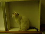 DSC00167