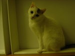 DSC00169