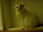 DSC00170