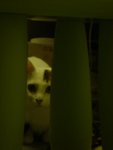 DSC00179