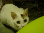 DSC00182