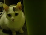 DSC00186
