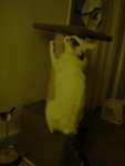 DSC00188