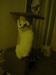 DSC00189