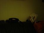 DSC00195