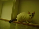 DSC00198