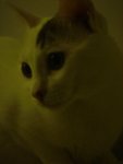DSC00199