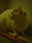 DSC00200