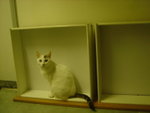 DSC00203