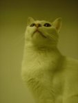 DSC00208
