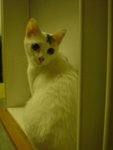 DSC00220