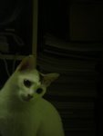 DSC00238