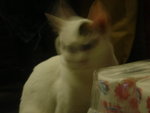 DSC09926