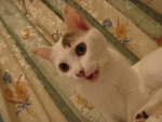 DSC08642