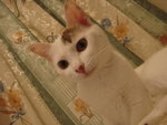 DSC08643
