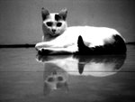 DSC086671