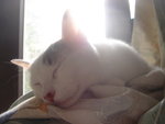 DSC08932