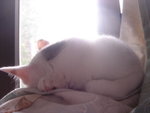 DSC08934
