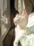 DSC08939