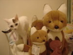 DSC09091