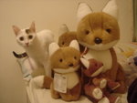 DSC09096
