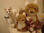 DSC09097