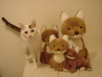 DSC09099