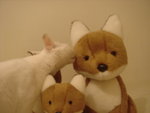 DSC09107