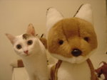 DSC09115
