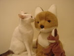 DSC09118