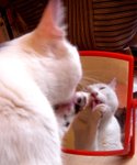DSC054401