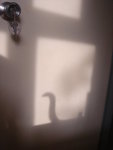 DSC08529