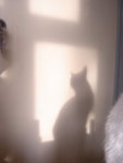 DSC08538