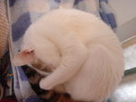 DSC08551