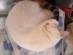 DSC08560
