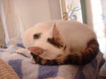 DSC08567