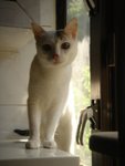DSC03446