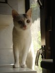 DSC03447