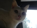 DSC03449