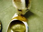 DSC03618