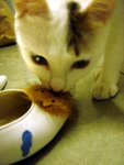 DSC03621