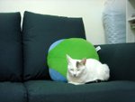 DSC03629