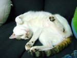 DSC03692