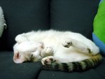 DSC03693