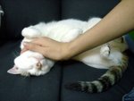 DSC03695