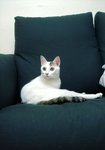 DSC037371