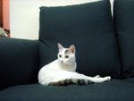 DSC03738