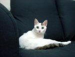 DSC03739